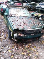 Jaguar x Type Schlachtfest Motorhaube Stoßstange Kotflügel Tür Nordrhein-Westfalen - Blomberg Vorschau