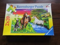 Ravensburger Puzzle 2 x 20 Teile Pferdewelt Kreis Ostholstein - Eutin Vorschau