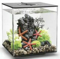 Oase biOrb CUBE 30 LED schwarz Aquarium EEK: G ,Spektrum A-G Nordrhein-Westfalen - Dorsten Vorschau