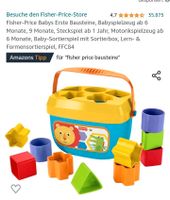 Fisher-Price Bausteine Babys Motorikspielzeug Baden-Württemberg - Schwäbisch Gmünd Vorschau