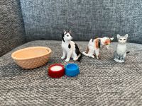 Schleich Katzen Nordrhein-Westfalen - Stemwede Vorschau