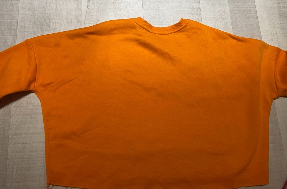 Pullover, orange, S in Seevetal