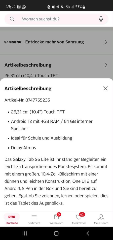 Samsung Galaxy Tab S6 Lite in Walsrode