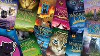 Warrior Cats Bücher | SUCHE Nordrhein-Westfalen - Schwerte Vorschau