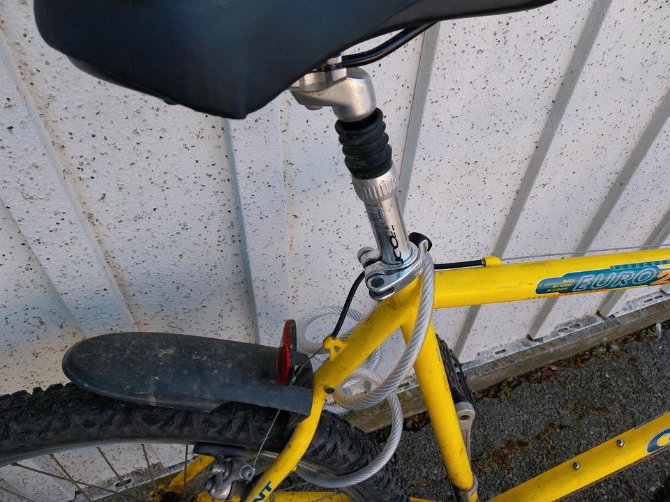 Giant Fahrrad in Quedlinburg