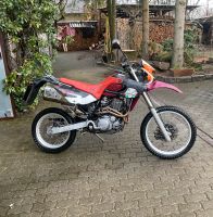 Motorrad MZ Baghira 660 Brandenburg - Hohenleipisch Vorschau