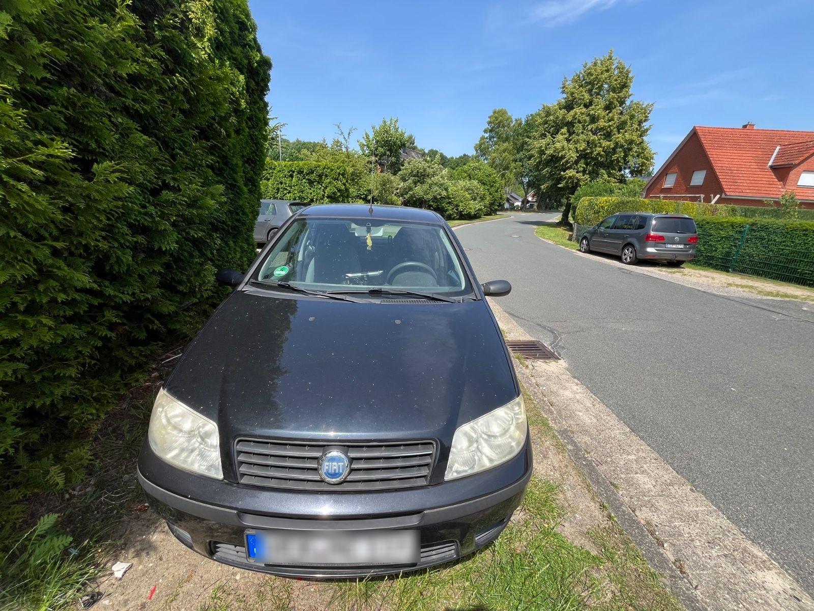 Abbildung des Autos Fiat Punto 1.2 8V -