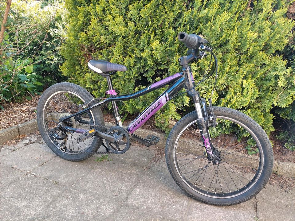 Kinderfahrrad MTB Cannondale 20" in Kamenz