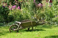 Ich helfe Ihnen im Garten,damit sie sich wieder ausruhen können Sachsen-Anhalt - Bad Duerrenberg Vorschau