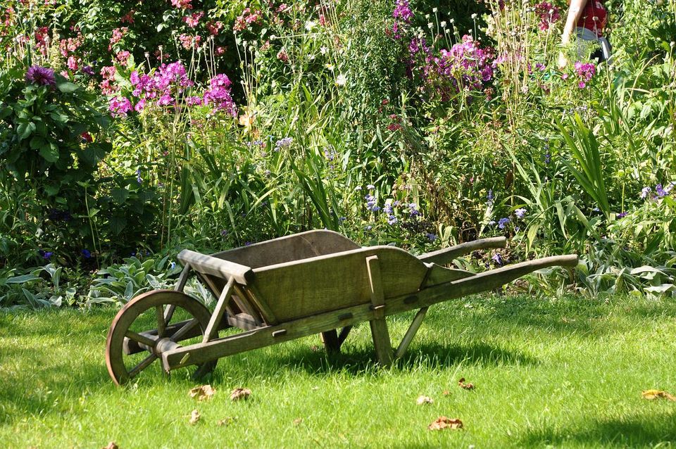 Ich helfe Ihnen im Garten,damit sie sich wieder ausruhen können in Bad Duerrenberg