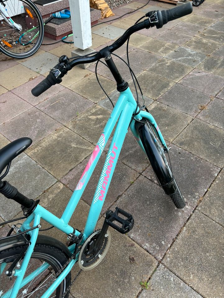 1 Jahr alt, 26 Zoll Sportfahrrad 21 Gänge Light Green in Dallgow