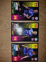 3 Match Attax Fußballkarten Arminia Bielefeld Niedersachsen - Estorf Vorschau