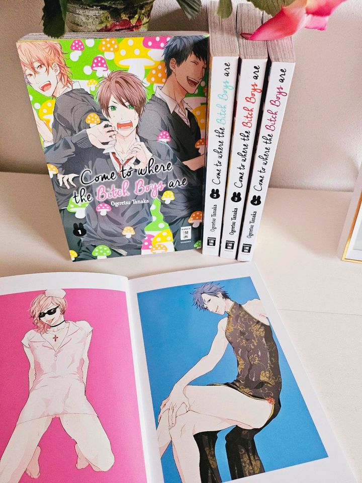BL-Manga Come to where the B* Boys are 1-4+extra,inkl.Buchversand in Weichering