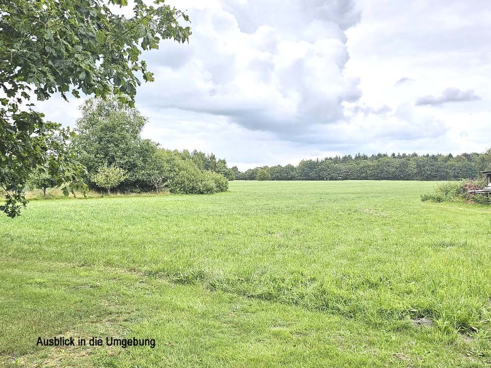 Stilvolle ehemalige Gaststätte unter Reet am Waldrand mit historischem Charme in Westre