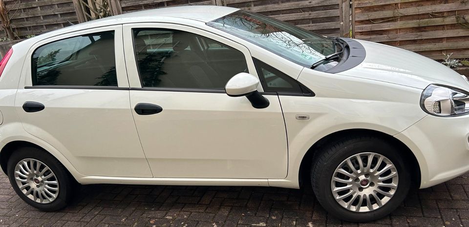 Fiat Punto 1.2 8V MYSTYLE wenig KM TOP Zustand gepflegt in Bayern -  Marktheidenfeld | Fiat Punto Gebrauchtwagen | eBay Kleinanzeigen ist jetzt  Kleinanzeigen