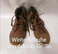 Winterschuhe von Adidas in Gr. 36 Rheinland-Pfalz - Dahlheim Taunus Vorschau