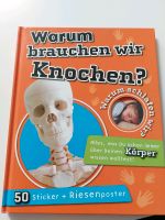 Buch - Warum brauchen wir Knochen? Sachsen - Kesselsdorf Vorschau