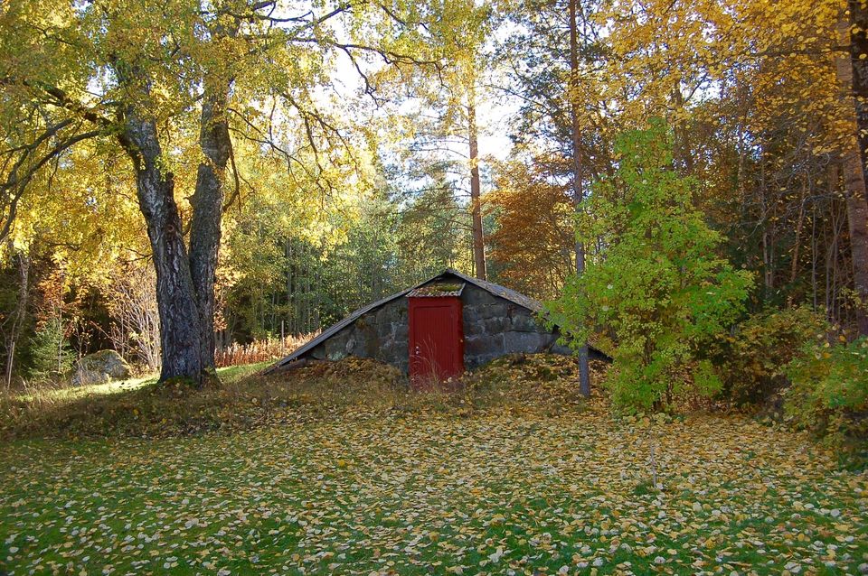 8200 qm schwedische Natur mit Wohnhaus und Nebengebäuden in Spiegelau
