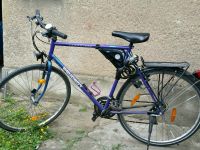 21gang Peugeot Cambridge Herrensportrad, 60cm RH Köln - Höhenberg Vorschau