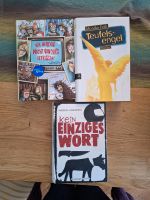 Jugendbücher,  Krimi, Thriller Hessen - Wiesbaden Vorschau