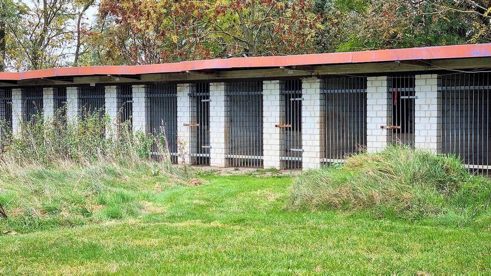 Hofstelle mit 2 Wohnhäusern und Mega Flächen in Vellahn