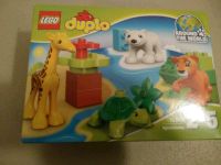 Lego Duplo Jungtiere *neu* Niedersachsen - Meine Vorschau