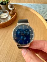 Skagen SKW6105 Armbanduhr Silber/Blau inkl. neuer Batterie Baden-Württemberg - Ulm Vorschau