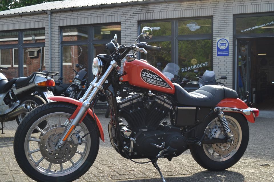 Harley Davidson Sportster XL883R in Papenburg