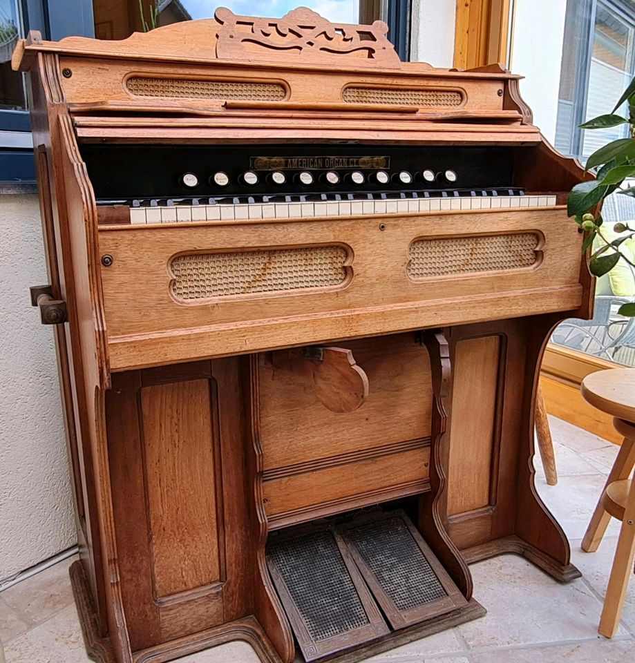 American Organ CY Harmonium in Lügde