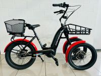 Corratec Life S Dual Lastenrad für Menschen mit Funktionsst EBike Hessen - Biedenkopf Vorschau