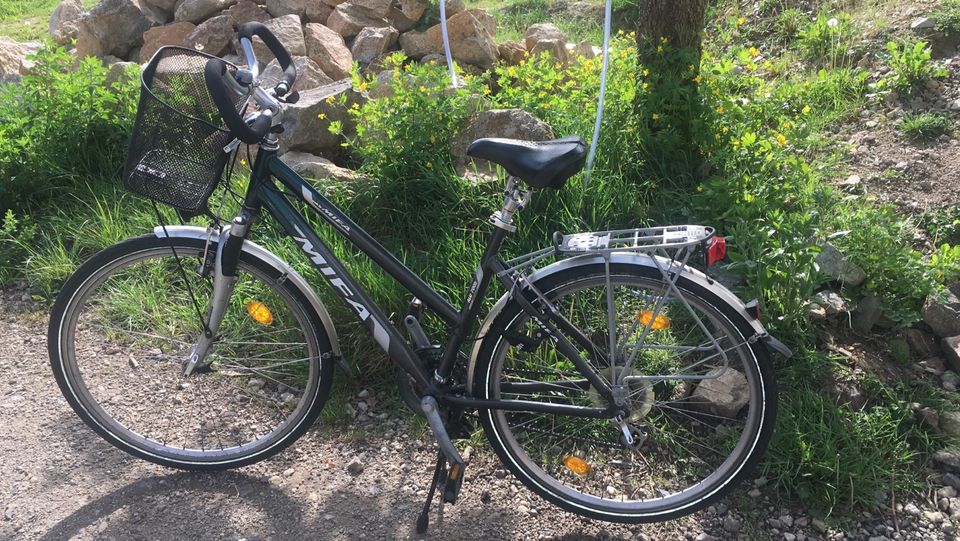 Fahrrad Damenrad Rad in Dresden