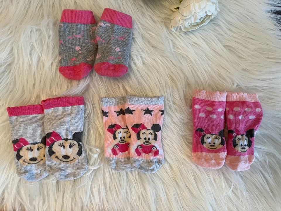 Socken Paket | Disney | Minnie Mouse | Gr. 62/68 | Gr. 15-16 in Bindlach