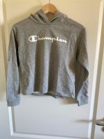 Kurzer Hoodie Champion Gr. 150/155 Brandenburg - Werder (Havel) Vorschau