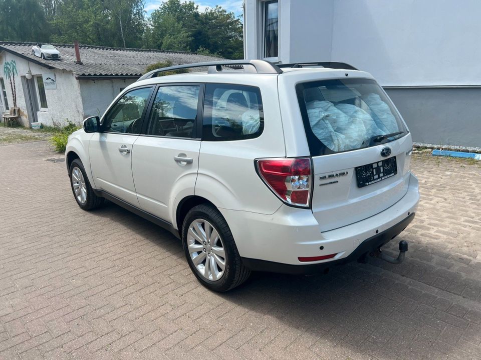 Subaru Forester Exclusive TÜV NEU! AHK! KAMERA! LEDER! in Bad Doberan