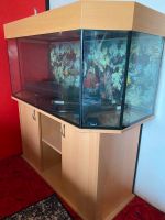 Aquarium + passender unterschrank und Pumpe Niedersachsen - Elsfleth Vorschau