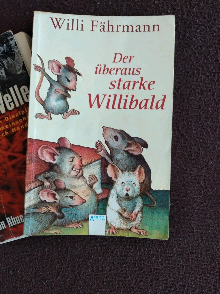 Bücher die Welle,der überausstarke Willibald,Rico,Oskar und Die T in Duisburg