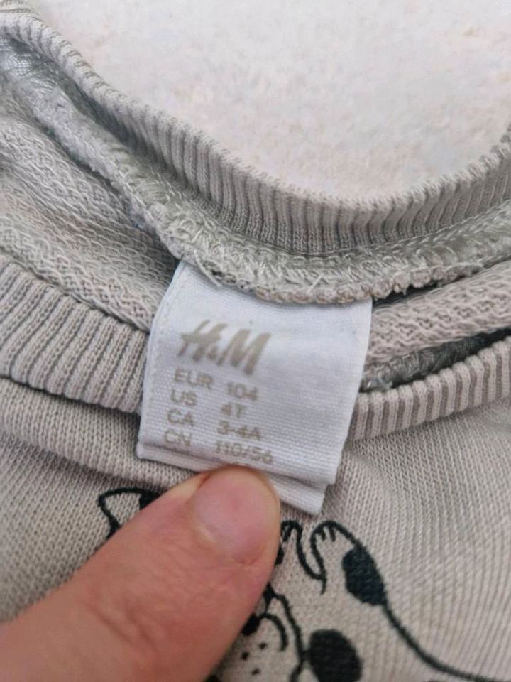 Bär hund pullover sweater H&M 104 in Freising