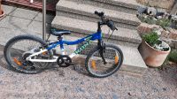 Kinder Mountainbike Kona Sachsen - Ebersbach bei Großenhain Vorschau