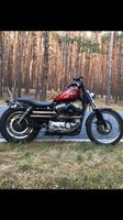 Harley Davidson Sportster Auspuff Brandenburg - Niedergörsdorf Vorschau