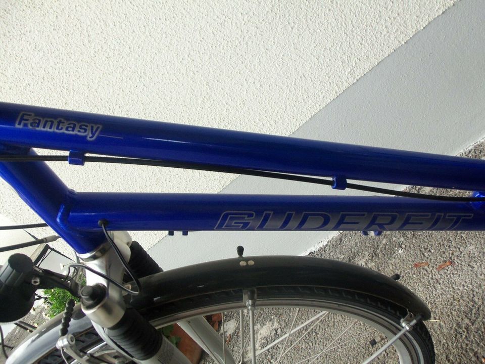 Damenfahrrad Gudereit Fantasy Alu Tief in Aidenbach