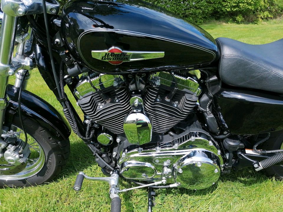 Harley Davidson Sportster in Nehms