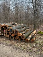 Stammholz - Hartholz Bayern - Langenzenn Vorschau