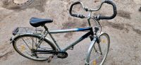 Herren Fahrrad 28 Zoll Kettenschaltung Essen - Essen-Ruhrhalbinsel Vorschau
