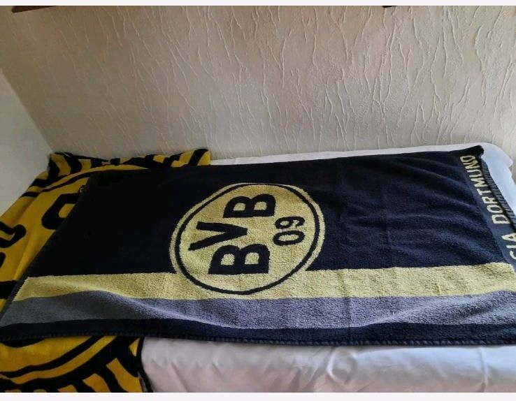 BVB Fussball- Sammlung in Spenge