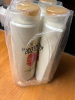 4x Pantene Pro V Locken Niedersachsen - Braunschweig Vorschau