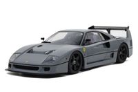 GT Spirit Ferrari F40 COMPETIZIONE NARDO GREY Modellauto 1:18 Hessen - Driedorf Vorschau