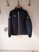 Puma Herren Steppjacke. Coachjacke. Winterjacke. Schwarz Niedersachsen - Damme Vorschau