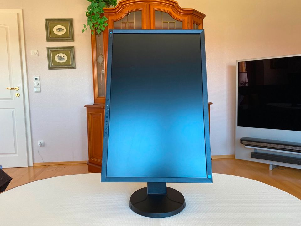 ++ Monitor von EIZO ++ in Reinstedt