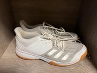Turnschuhe Gr. 42 Niedersachsen - Twist Vorschau