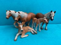 Schleich Haflinger Familie Nordrhein-Westfalen - Kerpen Vorschau